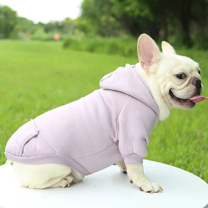 Fashion Dog Clothing for Small Pets