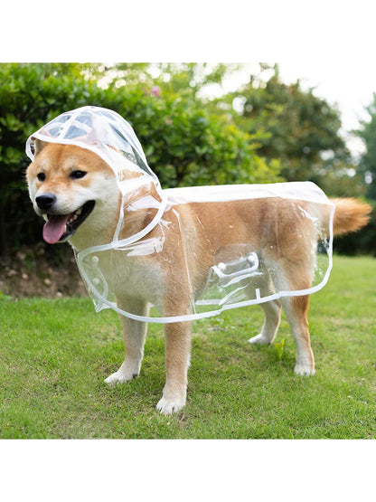 Imperméable transparent pour chien de compagnie 