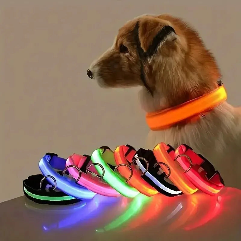 Guinzaglio per cani in nylon con LED di sicurezza notturna lampeggiante che si illumina al buio