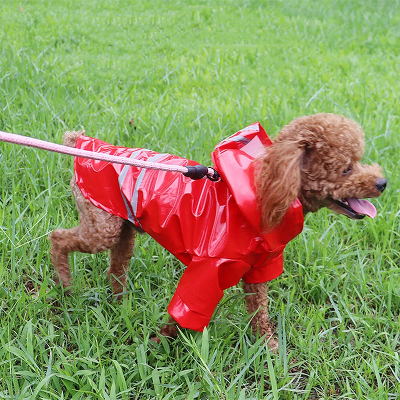 Impermeabile per cani, impermeabile riflettente e anti-neve per animali domestici