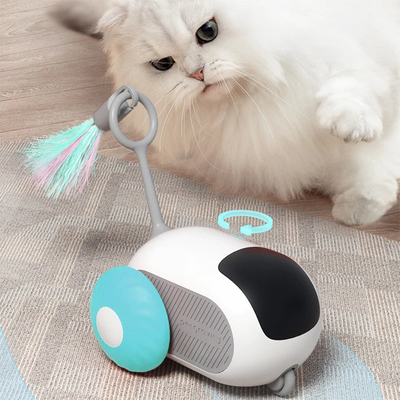 Voiture de sport intelligente télécommandée pour chat, jouets électriques