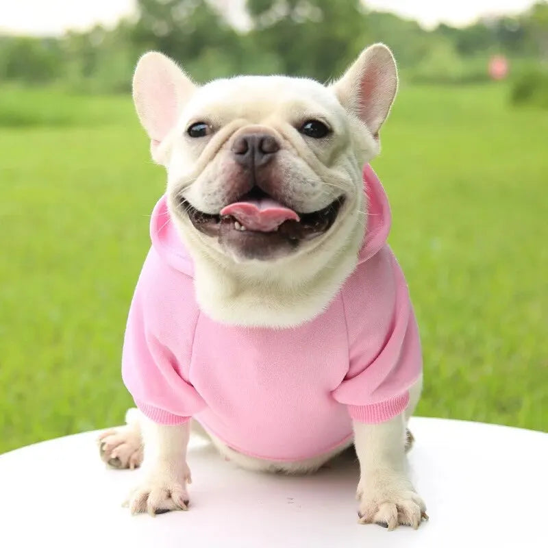 Fashion Dog Clothing for Small Pets