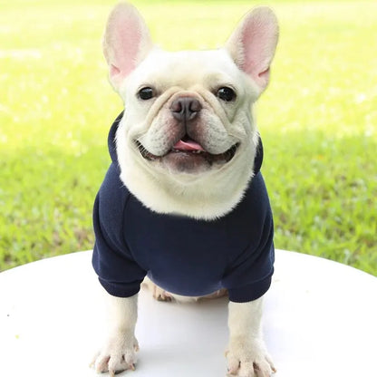 Fashion Dog Clothing for Small Pets