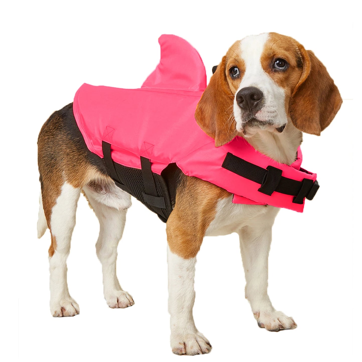 Gilet de sauvetage pour chien avec motif requin