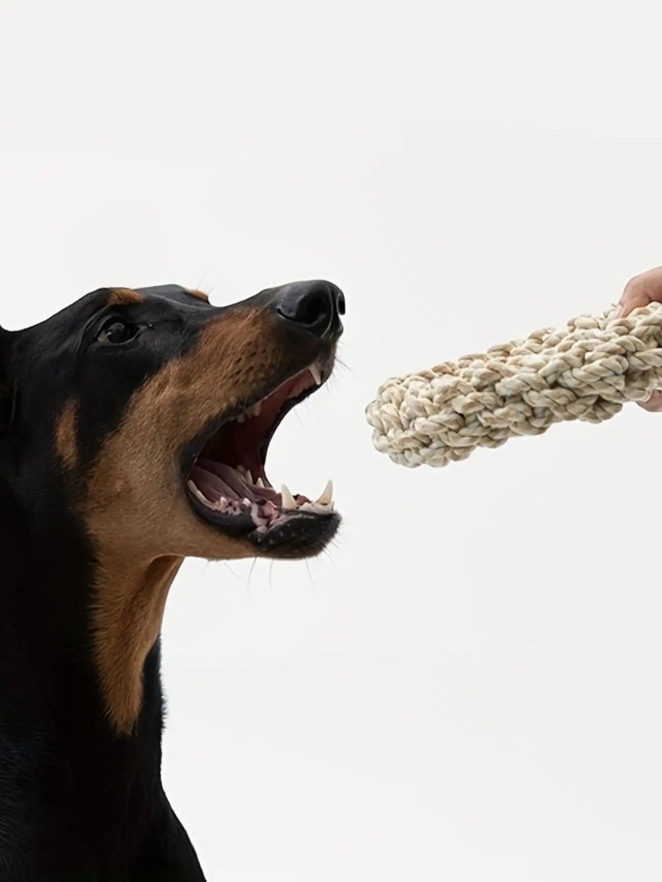 Dog Rope Toy Durable Chew Bite for Medium Large Dogs