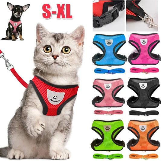 Harnais pour chat et chien avec laisse et gilet réglable