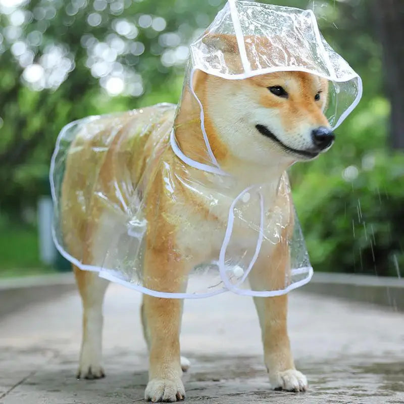 Imperméable transparent pour chien de compagnie 