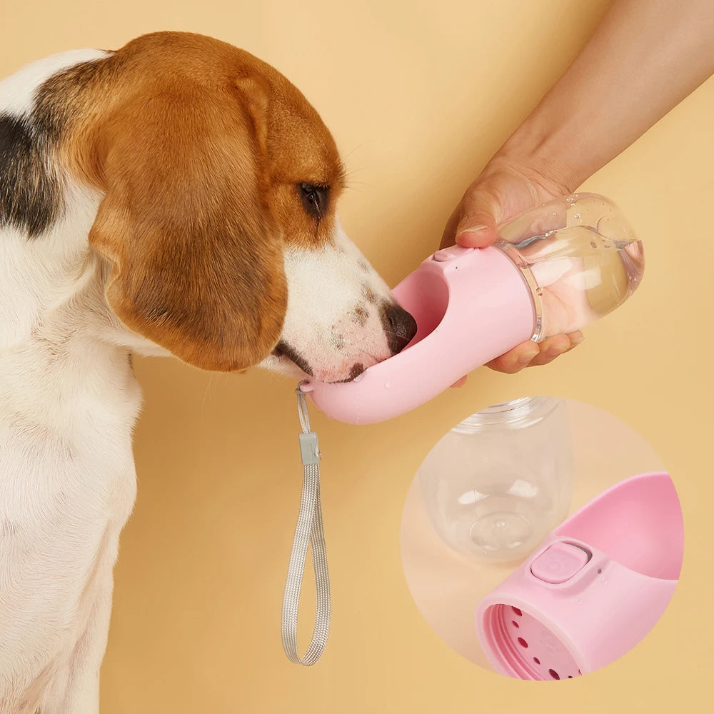 Bouteille d'eau de voyage pour chien pour animaux de compagnie chiens chats