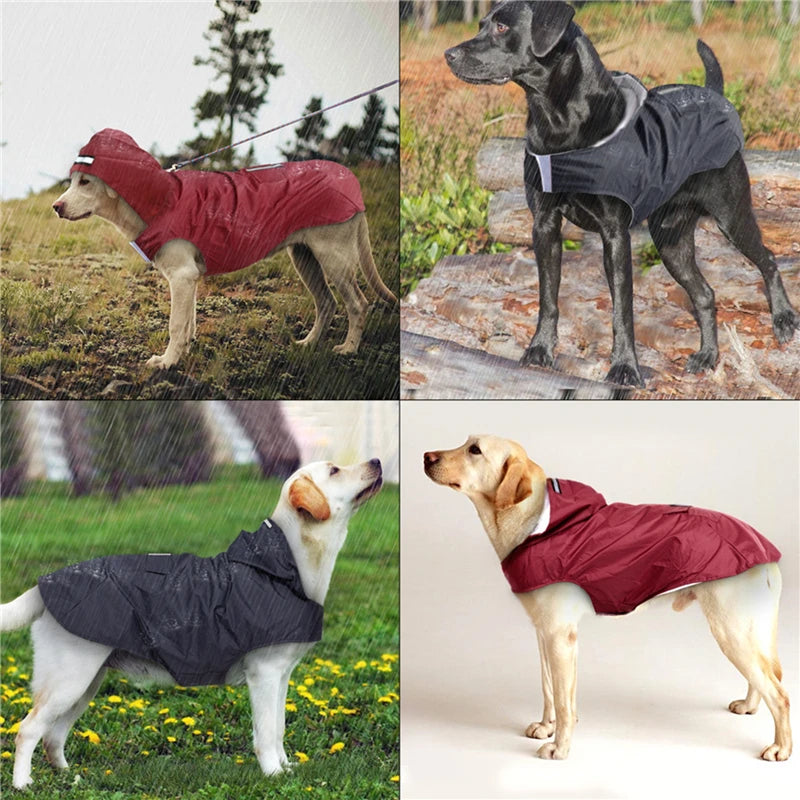 Poncho impermeabile per cani