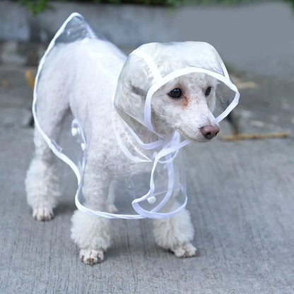 Imperméable transparent pour chien de compagnie 