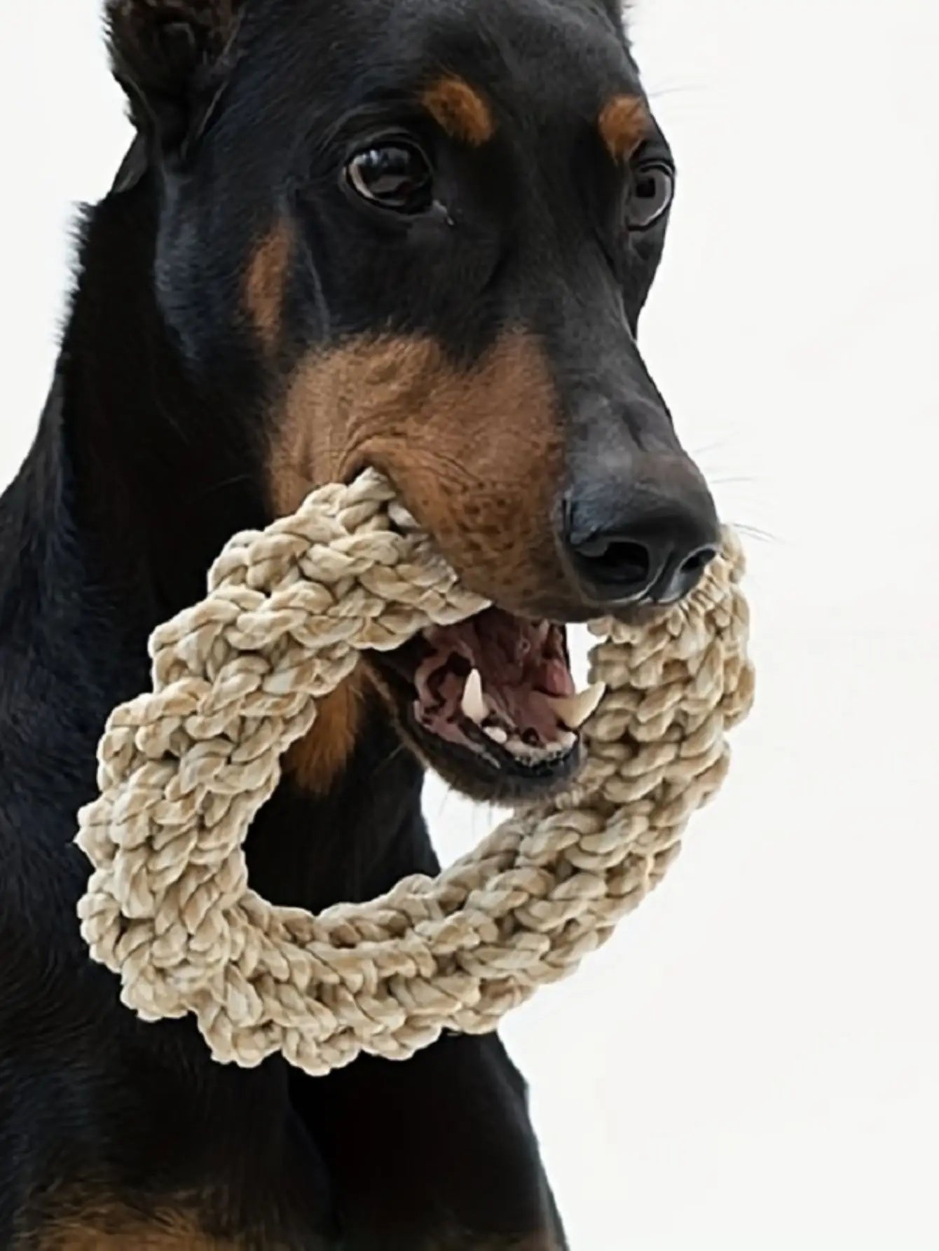 Dog Rope Toy Durable Chew Bite for Medium Large Dogs