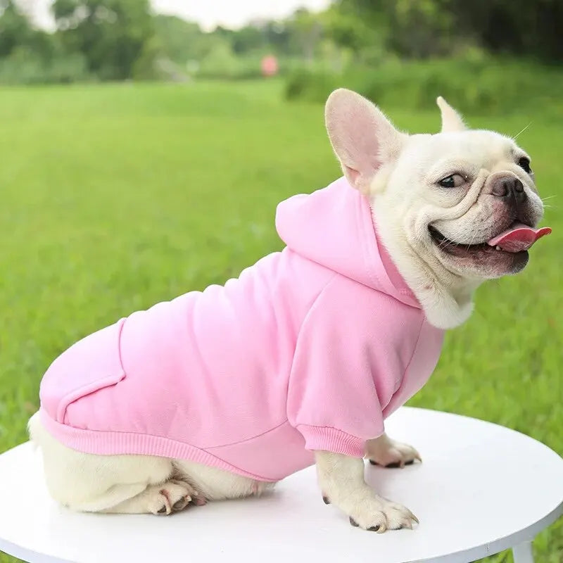 Fashion Dog Clothing for Small Pets