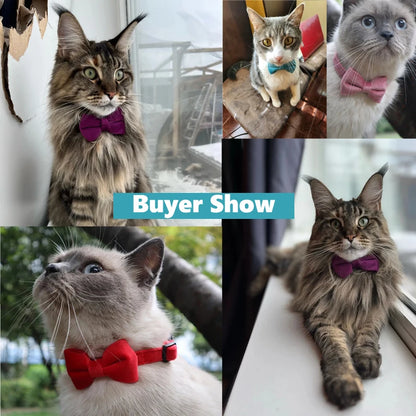 Velvet Bowknot Cat Collar