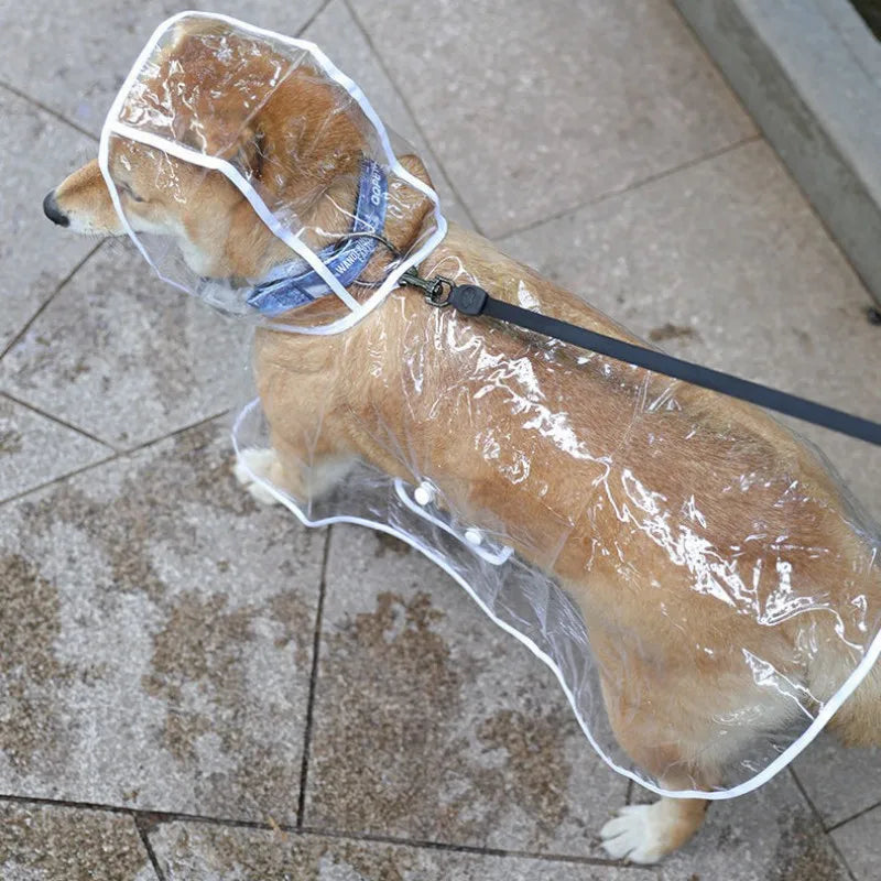 Imperméable transparent pour chien de compagnie 