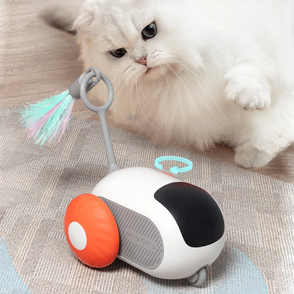 Voiture de sport intelligente télécommandée pour chat, jouets électriques